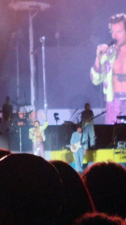 Harry Styles agradece (e muito) segurança que o "salvou" de invasor do palco no Rio de Janeiro