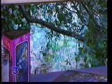 Un voyage temporel publicitaire : Redécouvrez les publicités du 4 avril 1994 sur France 3 pendant le Soir 3 - Un retour nostalgique dans le monde des spots télévisés continentaux de l'époque.