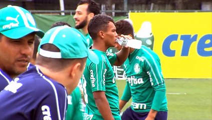 Imagens do treino do Palmeiras desta quarta-feira