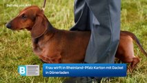 Frau wirft in Rheinland-Pfalz Karton mit Dackel in Dönerladen