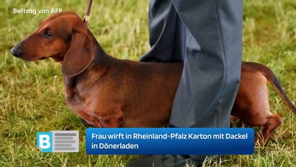 Frau wirft in Rheinland-Pfalz Karton mit Dackel in Dönerladen