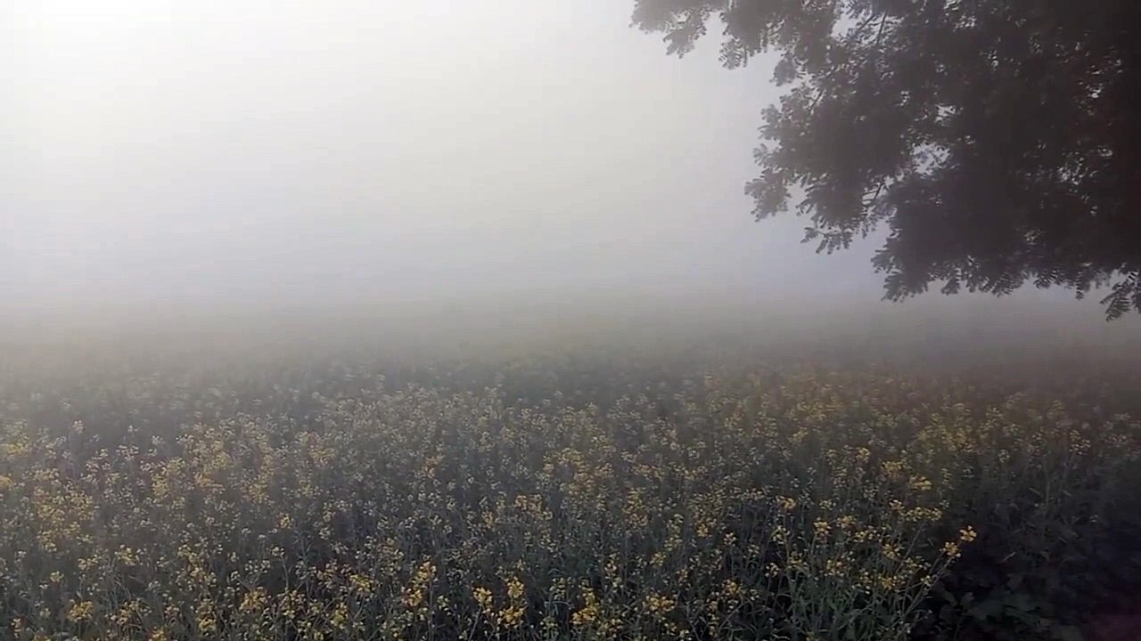 तापमान में उतार चढ़ाव का दौर- माउंट आबू का तापम...