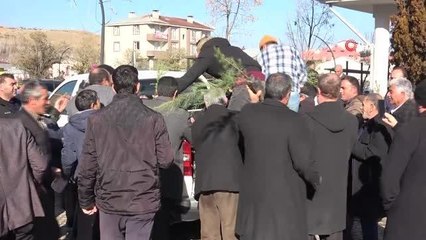 Gevaş'ta vatandaşlara 700 adet fidan dağıtıldı