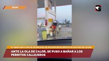 Ante la ola de calor, se puso a bañar a los perritos callejeros