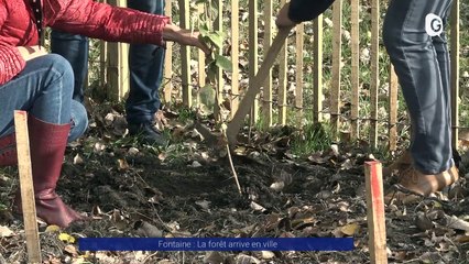 Reportage - Une forêt urbaine à Fontaine