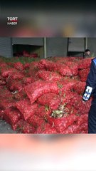 Stokçulara Operasyon! 22 Ton Çürümüş Soğan Ele Geçirildi #shorts #soğan #stokçu #çürük