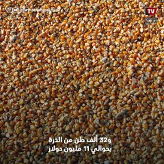 الإفراج عن الأعلاف المحجوزة بالموانئ لحل أزمة الدواجن والكتاكيت