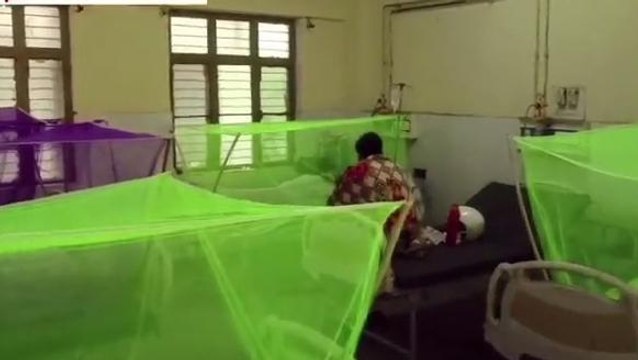 अंबेडकरनगर: डेंगू मरीजों की संख्या बढ़ी, डेंगू प्रभावित क्षेत्रों में पहुंच रही स्वास्थ्य टीम