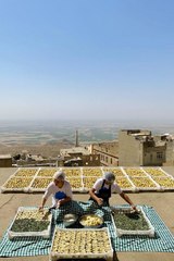 TBMM Dilekçe Komisyonu, Mardin'de Topraktan Tabağa Tarımsal Kalkınma Kooperatifi'ni inceledi