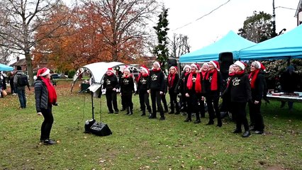 Christmas fairs around Woking