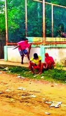 A big snake fell from the sky