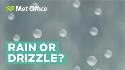 Rain vs. Drizzle: How to Tell the Difference 🌧️