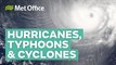 What is the difference between hurricanes, typhoons and cyclones?