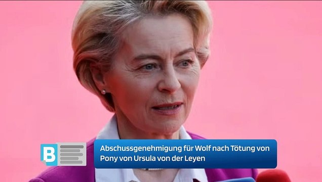 Abschussgenehmigung für Wolf nach Tötung von Pony von Ursula von der Leyen