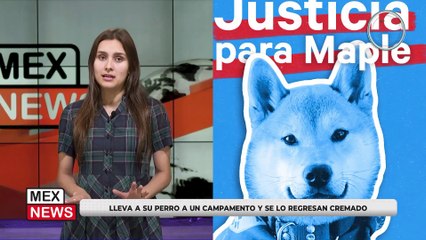 LLEVA A SU PERRO A UNA GUARDERÍA Y SE LO REGRESAN HECHO CENIZAS