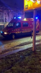 Autoridades resgatam animais domésticos durante cheias em Loures