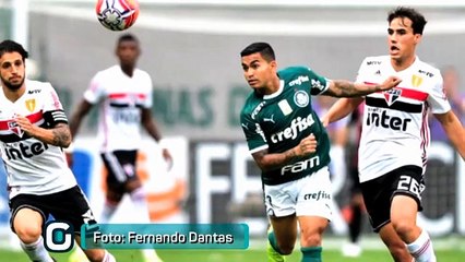 Palmeiras tem retrospecto impecável contra o São Paulo no Allianz Parque
