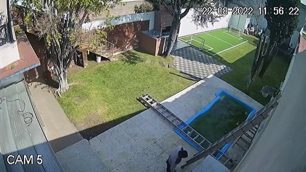 Painter Plummets from the Painting