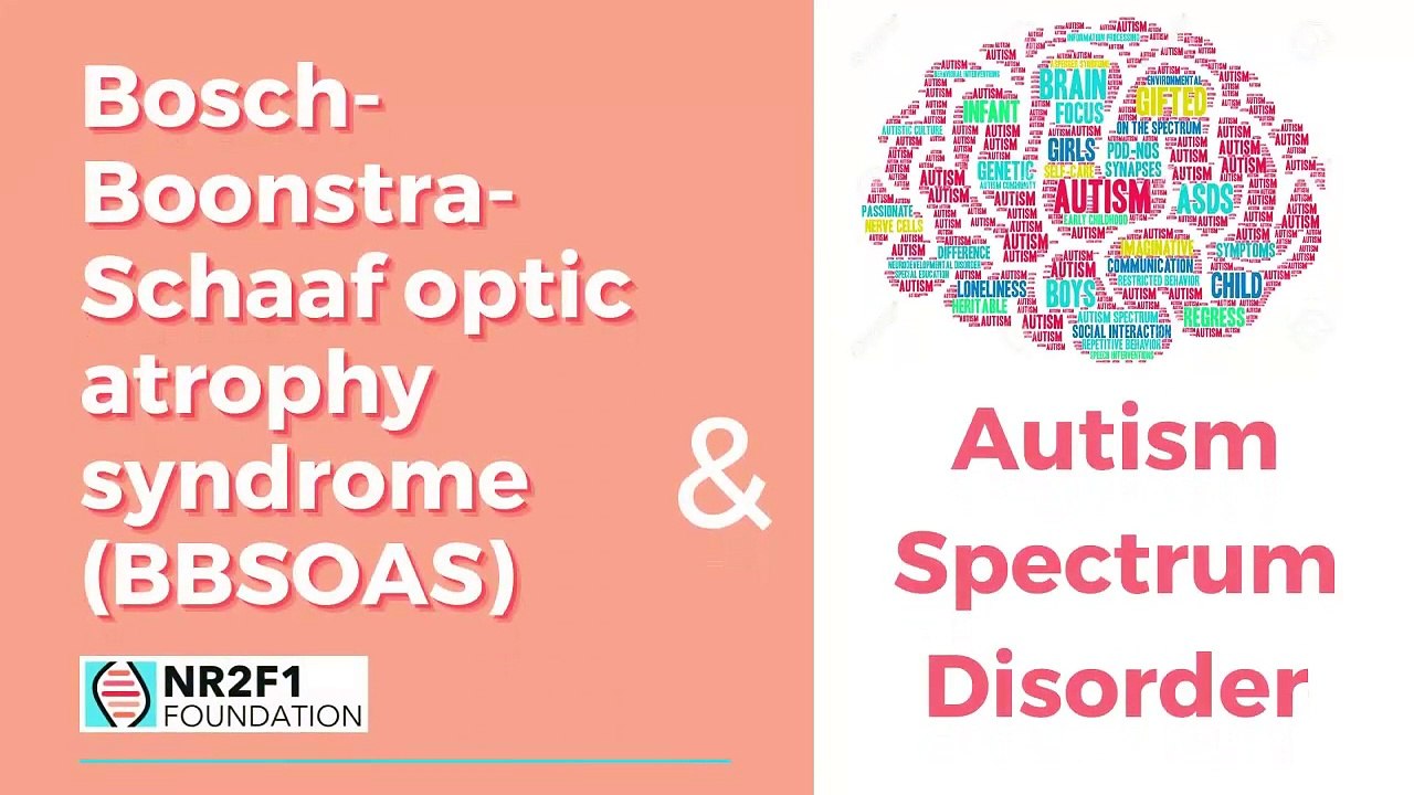 BBSOAS and Autism