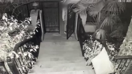 Köpek hırsızlığı güvenlik kamerasınca kaydedildi