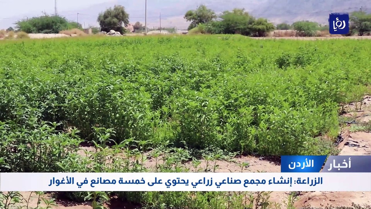 الزراعة: إنشاء مجمع صناعي زراعي يحتوي على خمسة مصانع في الأغوار