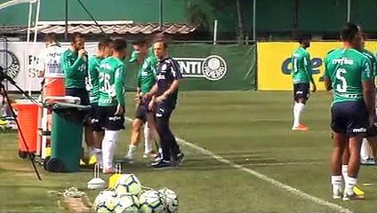 Imagens do treino do Palmeiras desta quinta-feira