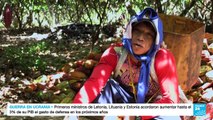 Agricultores colombianos comienzan a sustituir cultivos de coca por cacao