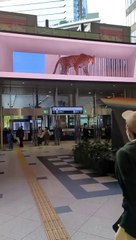 Crazy Japanese 3D Billboard 4! #shorts #japan