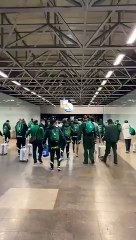 Torcedores do Palmeiras cobram o elenco no Paraná