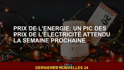 Prix d'énergie: un pic des prix de l'électricité attendus la semaine prochaine
