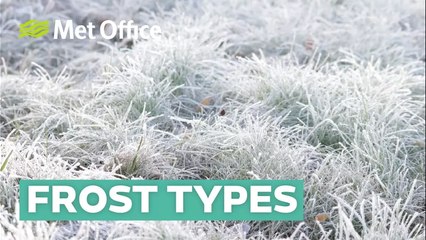 Discover the Different Types of Frost and How They Form ❄️