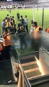 Felipe Melo faz gestos obscenos para a torcida do Santos