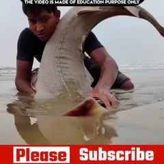 मिट्टी के अंदर से लिकला कुछ ऐसा जिसे देख कर