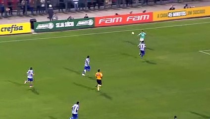 Bruno Henrique completa a goleada palmeirense no CSA 6 x 2