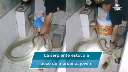 ¡Le tocó baño! Joven ducha a su serpiente como si fuera un perro
