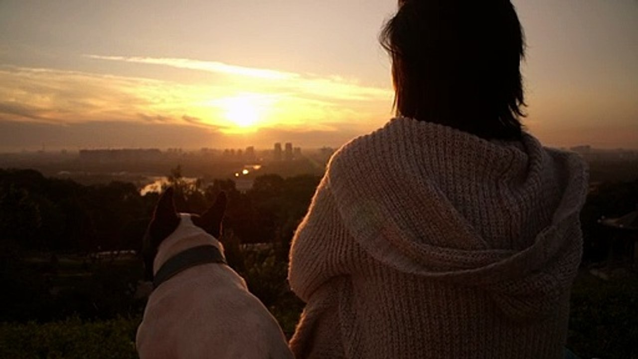 Seorang - menikmati - suasana - senja - mixkit-a-woman-with-her-dog-watching-the-sunset-4814-medium