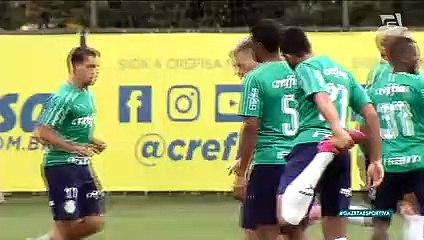 Palmeiras praticamente definido para pegar o Cruzeiro