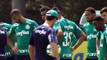 Imagens do treino do Palmeiras desta quinta-feira