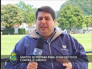 Santos encara o Grêmio ainda sonhando com o G-4 do Brasileirão