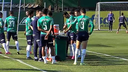 Imagens do treino do Palmeiras desta segunda-feira
