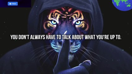 Confuse Them With Your Silence (THE SONG!)