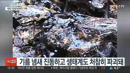 절망에서 희망으로…태안 유류피해 기록물 세계유산 등재