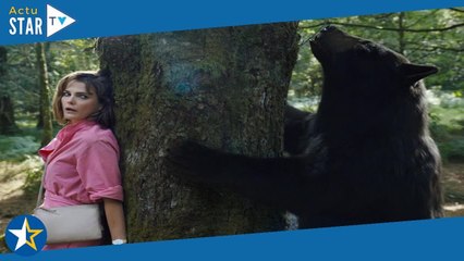 Cocaïne Bear : l'incroyable histoire vraie qui a inspiré le film