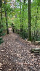 Mountain Biker Flies Off Ramp Into Faceplant