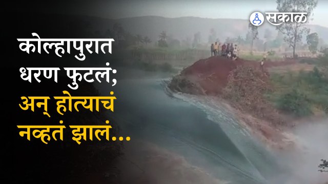 Kolhapur News | राधानगरी तालुक्यातील धरण फुटलं, शेकडो एकर शेतीचं नुकसान | Agriculture | Sakal