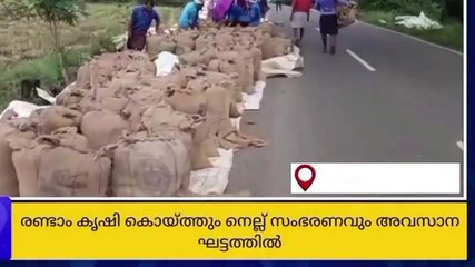 ആലപ്പുഴയില്‍ കൊയ്ത്തും നെല്ലുസംഭരണവും അവസാനഘട്ട ത്തില്‍