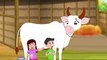 Gaiya Meri Song - Hindi Rhymes for Kids - kids song