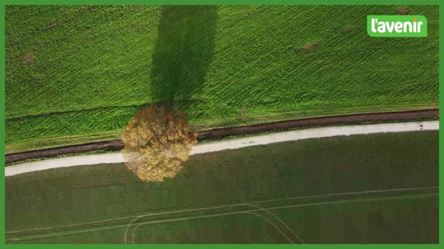 Le Brabant wallon vu du ciel : La Butte du Lion de Waterloo