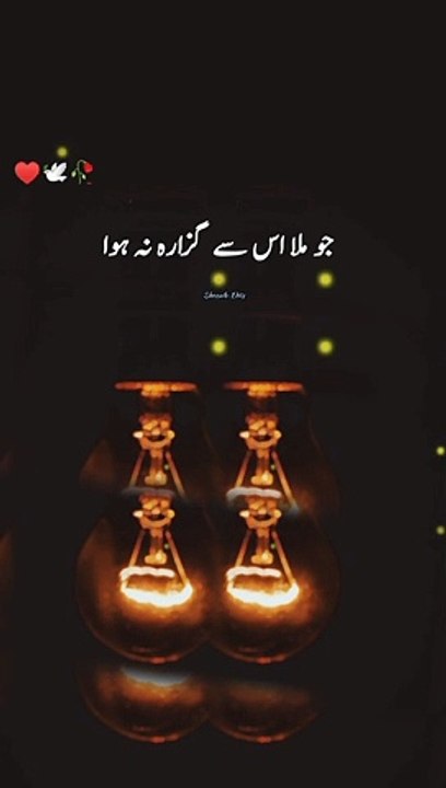 Sad Poetry Lines -Heart Touching Poetry Lines #foryou #foryoupage #trending #viralvideo #bestof2022 #bestvideo