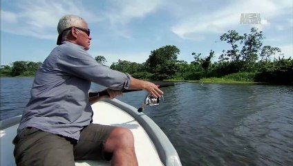 River Monsters 8 - Year of Beasts